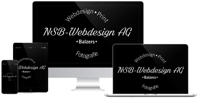 NSB Webdesign, Crowdfunding Erfahrungsbericht